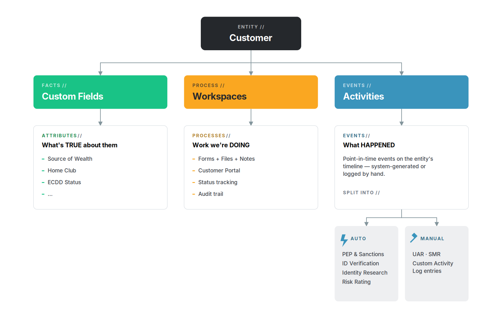 Entity decomposed into Custom Fields (facts), Workspaces (processes), and Activities (events). Activities split further into Auto and Manual.